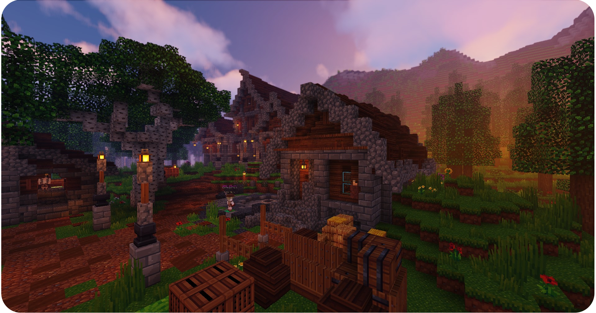 Survival image